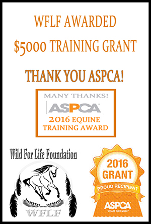 Thank you ASPCA Training Award